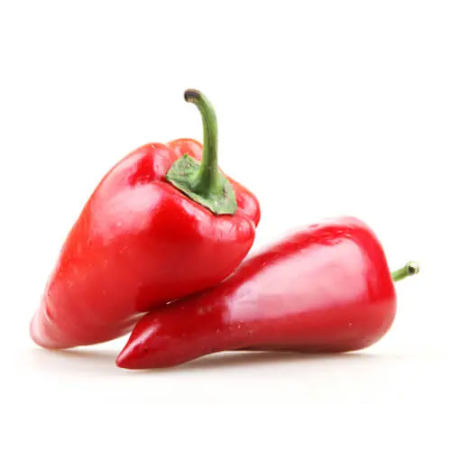 Jalapeno Red 200g Holland, Netherlands